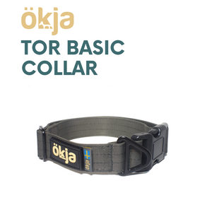 Tor Basic Hundhalsband 4cm (Wolf Grey)