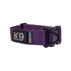 Tor Collar 4cm (Purple)